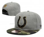 Gorra Indianapolis Colts Gris Verde