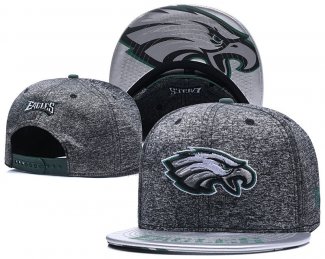 Gorra Philadelphia Eagles Gris Silver