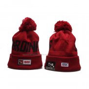 Gorro Beanie Arizona Cardinals 1920 Rojo