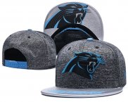 Gorra Carolina Panthers Gris Azul