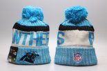 Gorro Carolina Panthers Azul