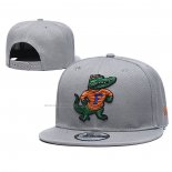 Gorra Florida Gators 9FIFTY Snapback Gris