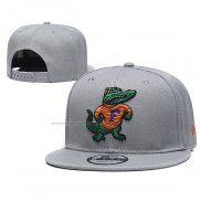 Gorra Florida Gators 9FIFTY Snapback Gris