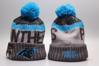 Gorro Carolina Panthers Gris Azul